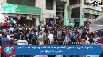 وظائف البريد المصري 2025: موعد الامتحانات وخطوات الاستعلام بالرقم القومي إلكترونيًا الآن